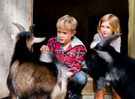 Paradies für Tierfans Symbolfoto