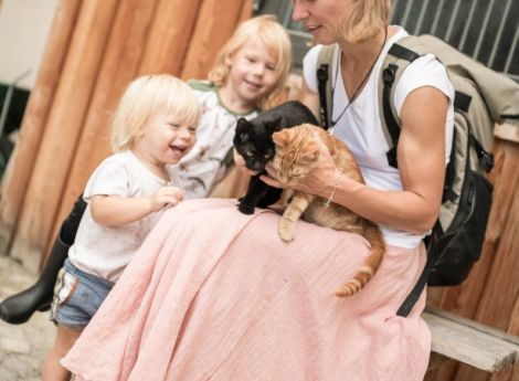 Willkommen auf der neuen Feuerstein Farm Symbolfoto