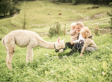 Willkommen auf der neuen Feuerstein Farm Symbolfoto