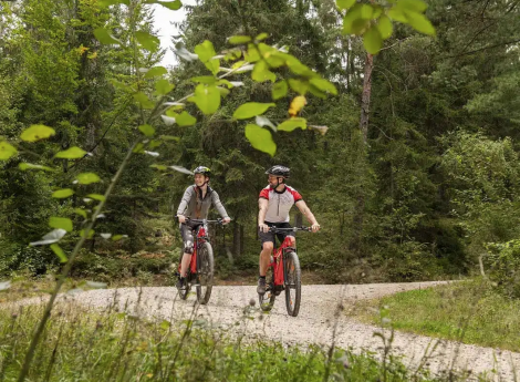 Familienurlaub im Bayerischen Wald Symbolfoto