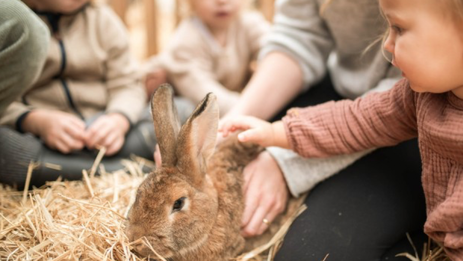 Willkommen auf der neuen Feuerstein Farm Symbolfoto